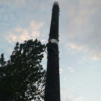 A torre biônico do telefone celular da camuflagem de Q345b galvanizou a árvore falsificada